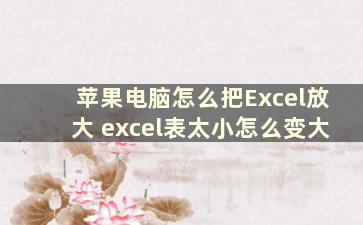 苹果电脑怎么把Excel放大 excel表太小怎么变大